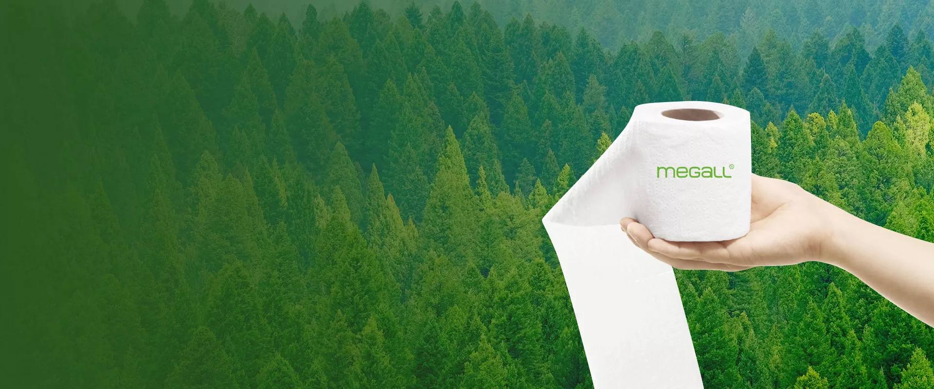 Sanitary Paper Supplier and Factory